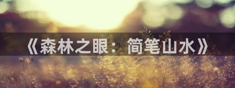 绥阳卧龙湖娱乐:《森林之眼:简笔山水》