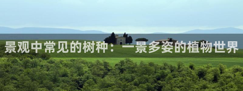 卧龙娱乐注册网址多少号:景观中常见的树种:一景多姿的植物世界