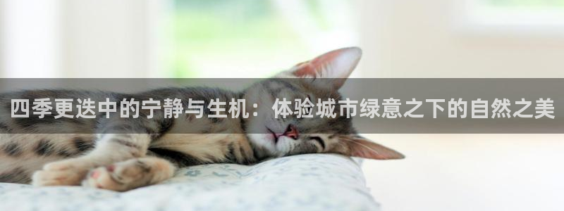 西安卧龙娱乐播报:四季更迭中的宁静与生机:体验城市绿意之下的自然之美