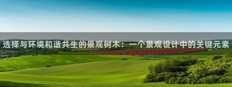 卧龙娱乐招商主管:选择与环境和谐共生的景观树木:一个景观设计中的关键元素