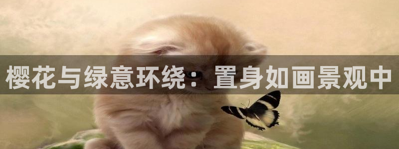 卧龙谷娱乐:樱花与绿意环绕:置身如画景观中